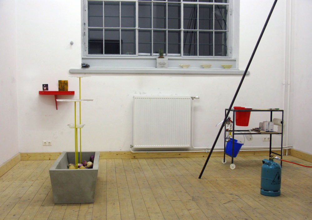 Steffi_Parlow_akkurat MV #2 - Pudding and french fries in the sign of the pineapple, 2013, Installation view, 2 of 15