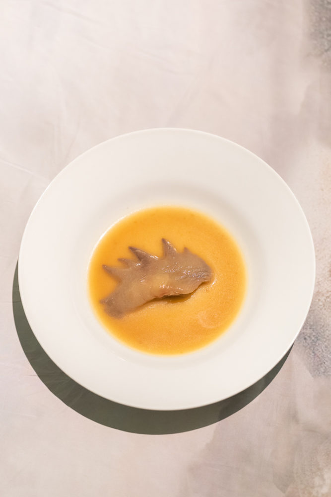 Steffi_Parlow_Fest der Folgenlosigkeit, 2019, 10 von 16