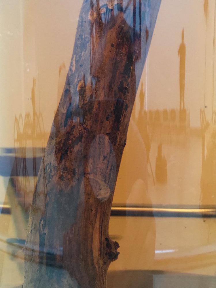 Steffi_Parlow_Fest der Folgenlosigkeit, 2019, 16 von 16