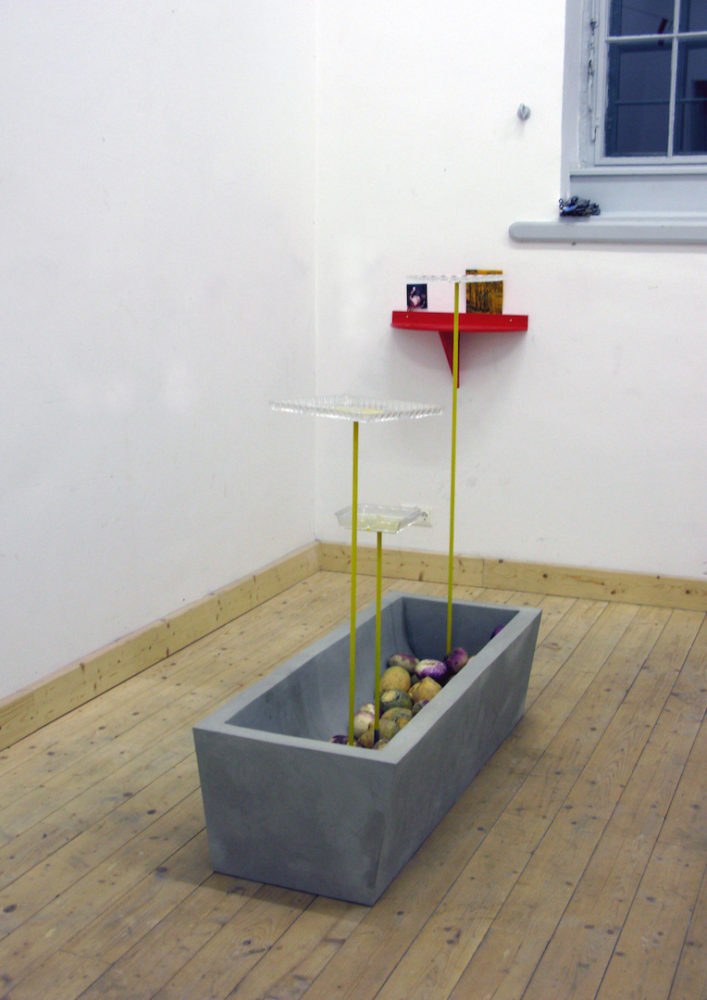Steffi_Parlow_akkurat MV #2, Pudding und Pommes im Zeichen der Ananas. 2013, 3 von 15