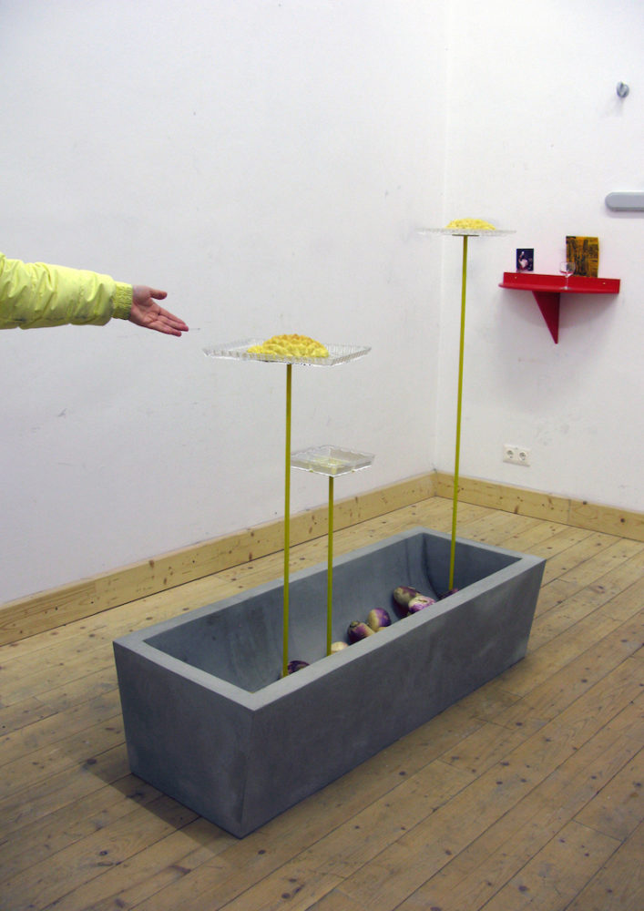 Steffi_Parlow_akkurat MV #2, Pudding und Pommes im Zeichen der Ananas. 2013, 14 von 15