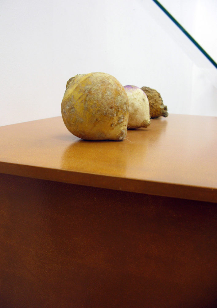 Steffi_Parlow_akkurat MV #2, Pudding und Pommes im Zeichen der Ananas. 2013, 5 von 15