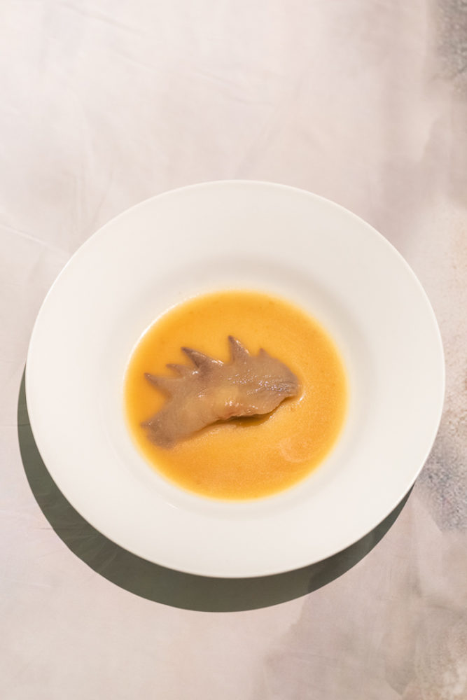 Steffi_Parlow_Festival of Impunity, 2019, 10 of 16