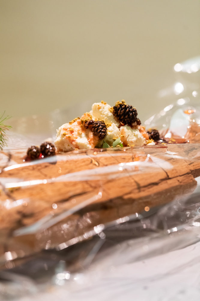 Steffi_Parlow_Festival of Impunity, 2019, 9 of 16