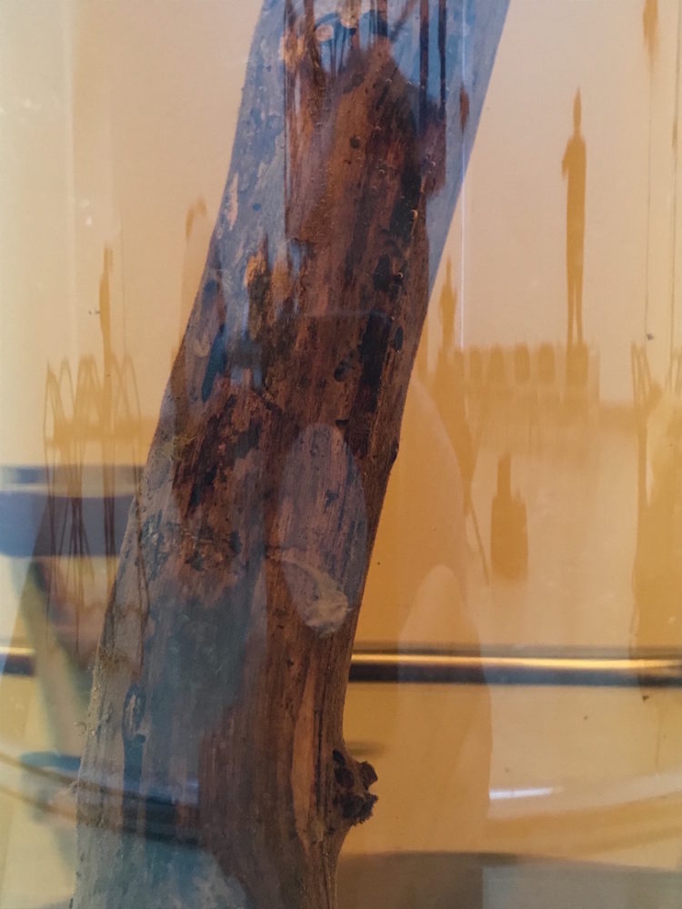 Steffi_Parlow_Festival of Impunity, 2019, 16 of 16