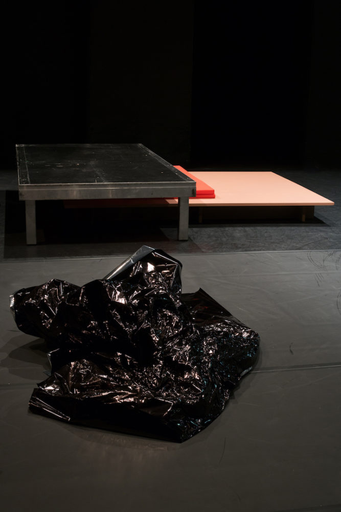 Steffi_Parlow_Guess What, Installation, 2018, 9 of 14